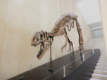 ティラノサウルス.jpg