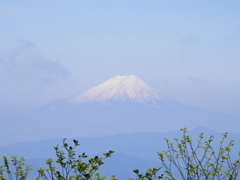 大岳山頂上（富士山）１.jpg