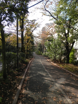 大島緑道公園.JPG