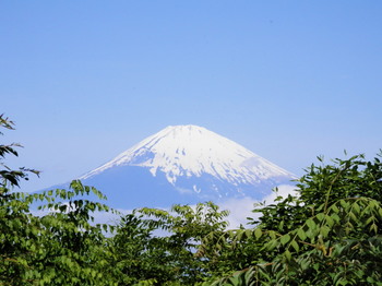 富士山（乙女峠展望台）.jpg