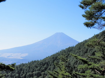 富士山（股のぞき）.jpg