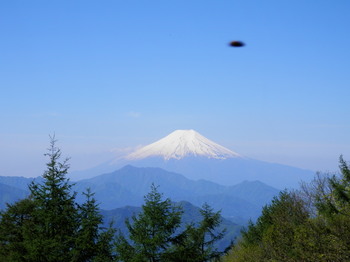富士山１（扇山頂上）UFOかも.jpg