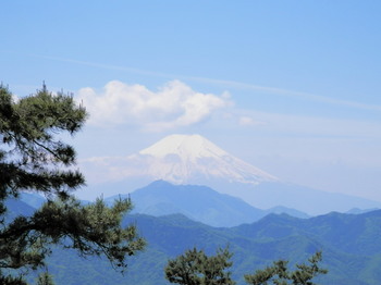富士山１（金毘羅社）.jpg