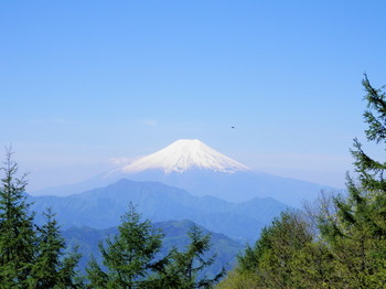 富士山２（扇山頂上）UFOらしき.jpg