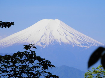 富士山２（梨の木平～大久保のコル）.jpg