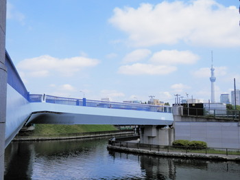 小名木川（クローバー橋とスカイツリー）.jpg