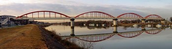 新中川水管橋.jpg