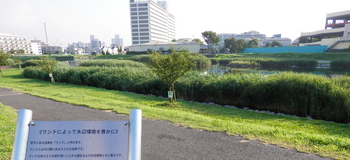 旧中川水辺公園.JPG