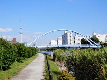 旧中川（ふれあい橋とスカイツリー）.jpg