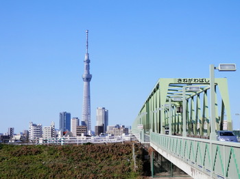 木根川橋とスカイツリー.jpg
