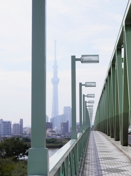 木根川橋とスカイツリー.JPG