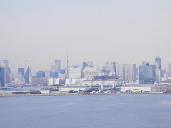 東京ゲートブリッジ（眺望：東京タワー）.jpg