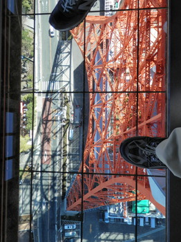 東京タワー（ルックダウンウインドウ）.jpg