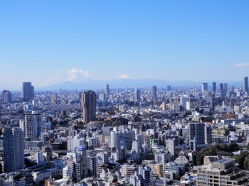 東京タワー（大展望台：富士山）.jpg