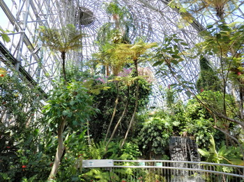 植物館（全景１）.jpg