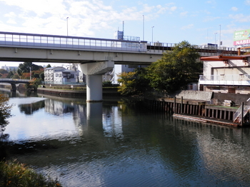 横十間川2.JPG