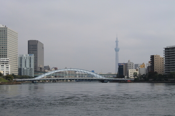 永代橋とスカイツリー.JPG