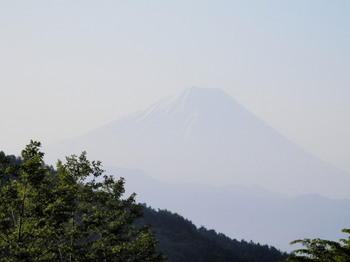甘利山から見る富士山.jpg