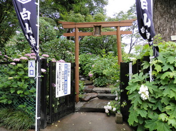 白山神社（富士塚）.jpg
