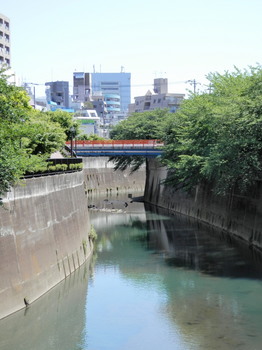 石神井川と紅葉橋.jpg
