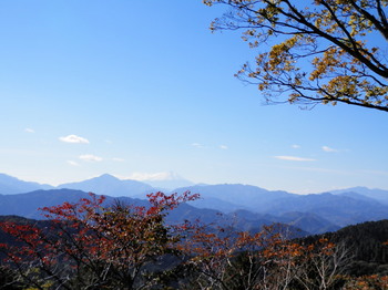 紅葉と富士見（高尾山頂上）.jpg
