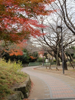 赤羽緑道公園1.jpg