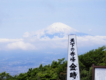 金時山頂上（富士山））.jpg