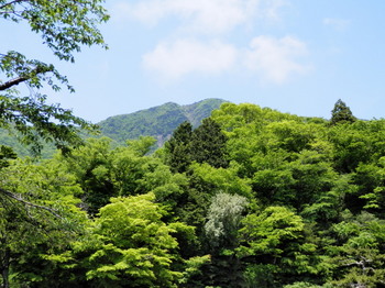 金時山（金時神社入口から）.jpg