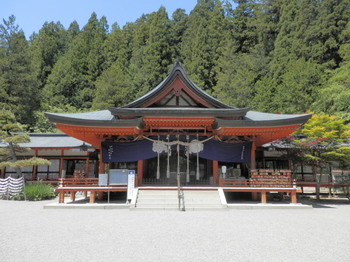 金桜神社.jpg