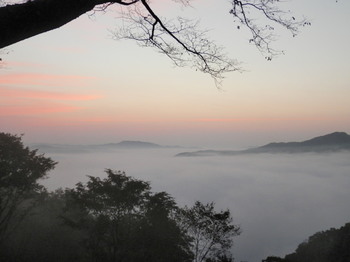 鎌倉山の雲海１.jpg