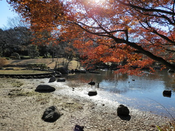 隅田公園.jpg