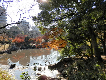 隅田公園2.jpg