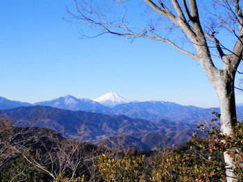 高尾山（山頂）２.jpg