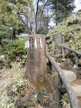 鳩森八幡神社（富士塚1）.jpg