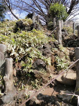 鳩森八幡神社（富士塚登山道2）.jpg