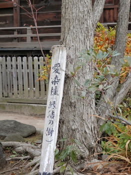 鷲神社（愛染桂・縁結の樹）.jpg
